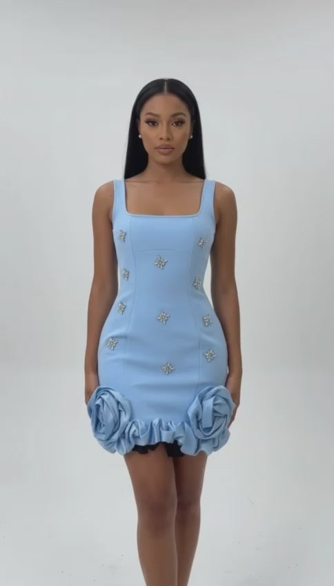 Clearama Rose Bloom Mini Dress – Red,black ⚫️ and Blue